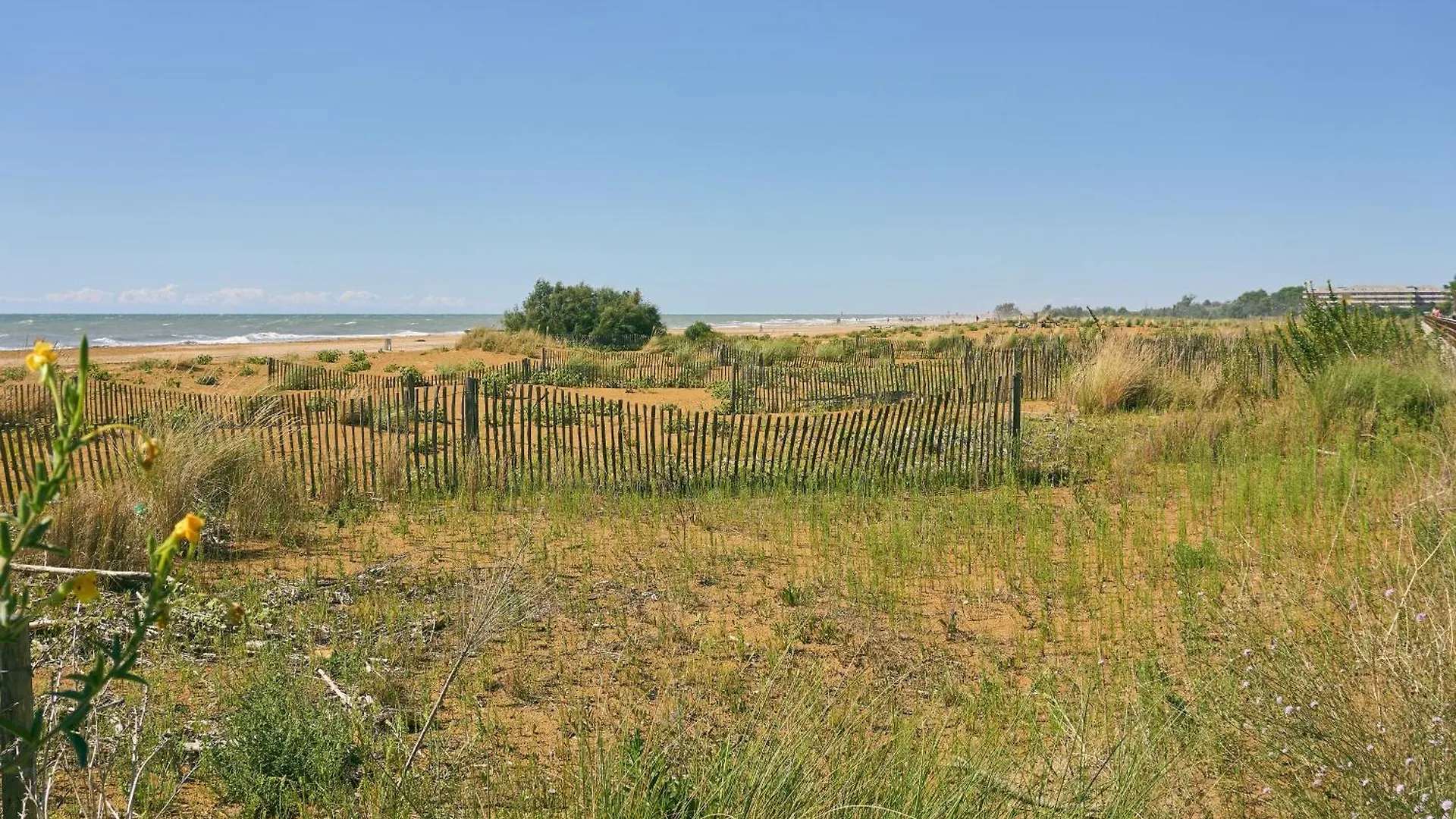 Apartment One Bedroom Flat In A Residence With Swimming Pool Bibione