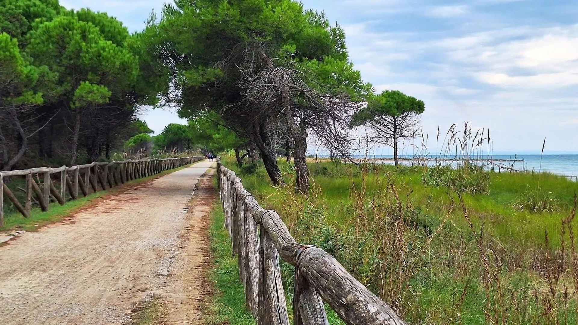 Apartment One Bedroom Flat In A Residence With Swimming Pool Bibione